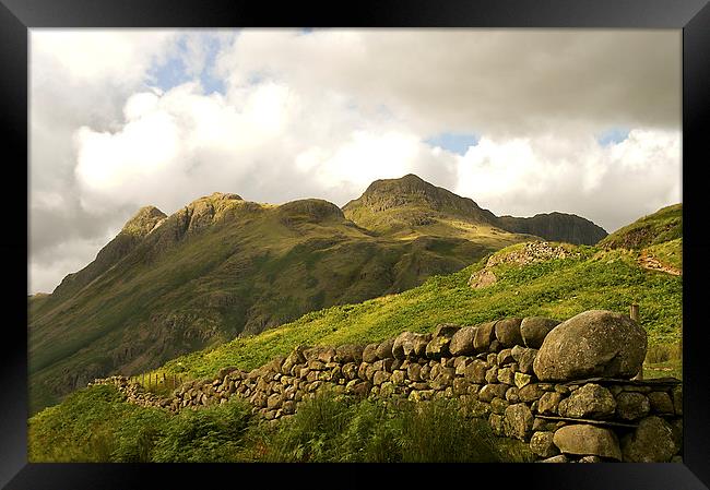 The Langdales in the Lake District  Framed Print by Jacqi Elmslie