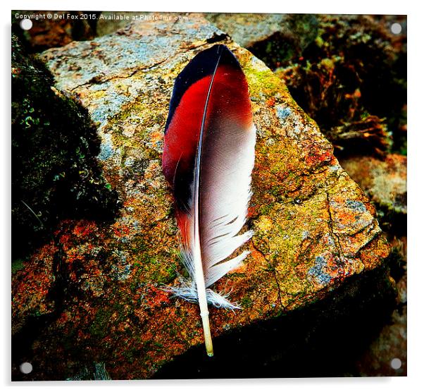  feather on the rock Acrylic by Derrick Fox Lomax