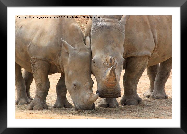 Rhino Framed Mounted Print by cerrie-jayne edmonds