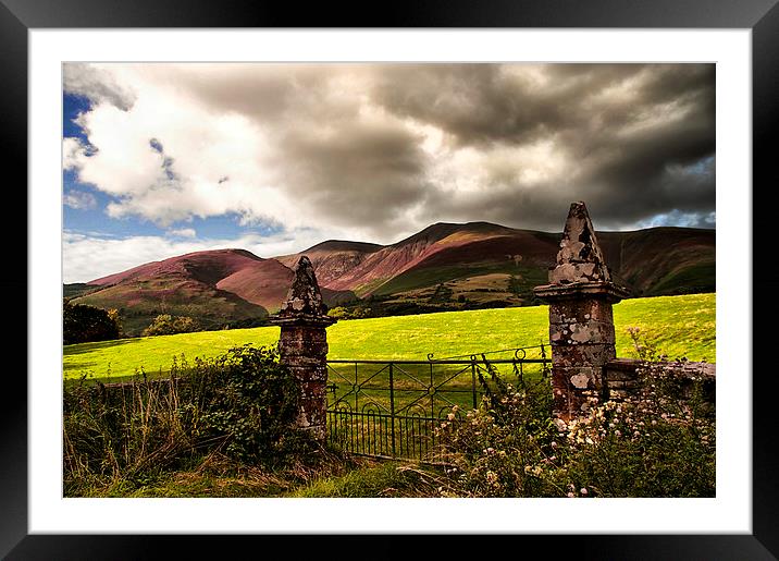 Heather on Skiddaw  Framed Mounted Print by Jacqi Elmslie