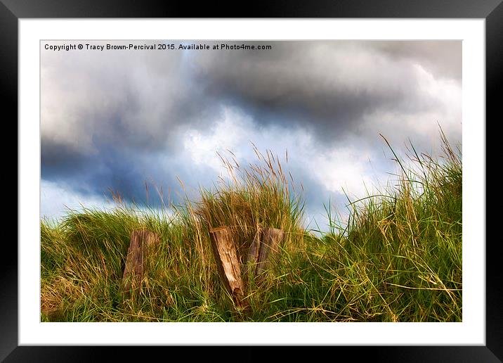  Grass Beams Framed Mounted Print by Tracy Brown-Percival