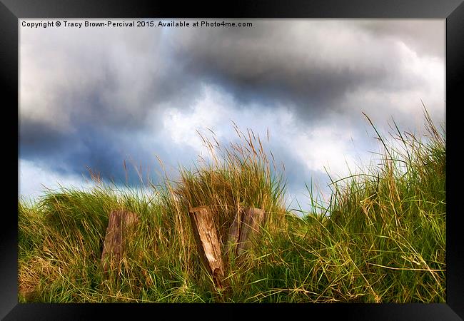  Grass Beams Framed Print by Tracy Brown-Percival