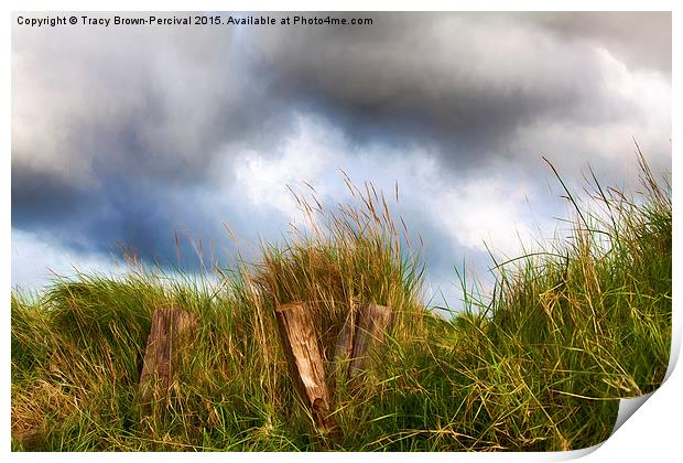  Grass Beams Print by Tracy Brown-Percival