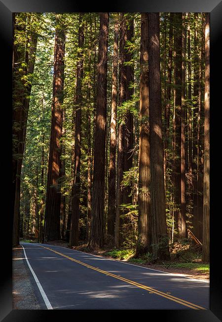 Humboldt State Park Framed Print by Thomas Schaeffer