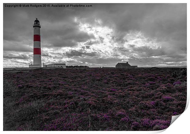 Tarbat Ness Lighthouse Amongst the Heather  Print by Mark Rodgers