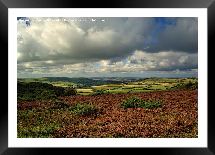 Heather on the Hills. Framed Mounted Print by Annabelle Ward