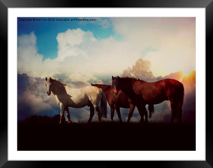  horses on a misty morning Framed Mounted Print by Derrick Fox Lomax