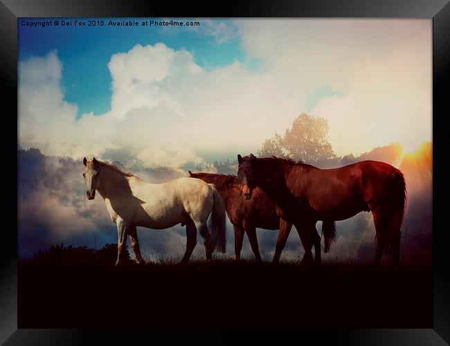  horses on a misty morning Framed Print by Derrick Fox Lomax