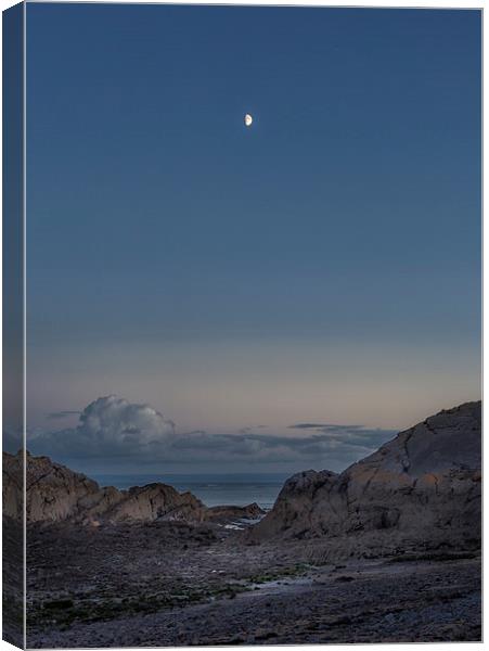 Waxing Quarter Moon   Canvas Print by Leighton Collins