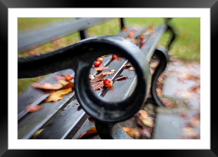  Early Autumn Fallers. Framed Mounted Print by Peter Bunker