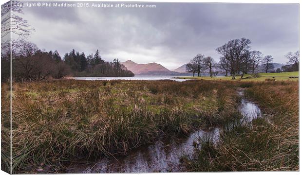  The Stream To Catbells Canvas Print by Phil Maddison