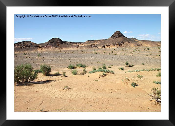  Southern Gobi Mongolia Framed Mounted Print by Carole-Anne Fooks