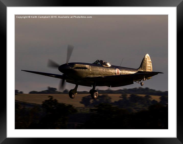  Supermarine Seafire XVII Framed Mounted Print by Keith Campbell