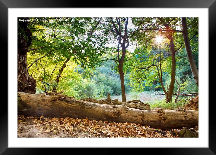  Through the Trees Framed Mounted Print by Tracy Brown-Percival