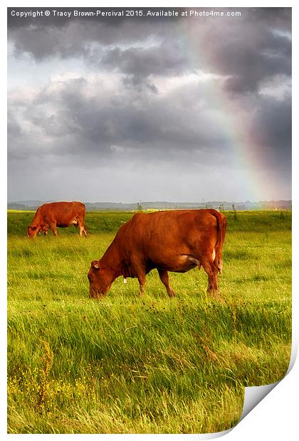  Rainbow at Elmley Print by Tracy Brown-Percival