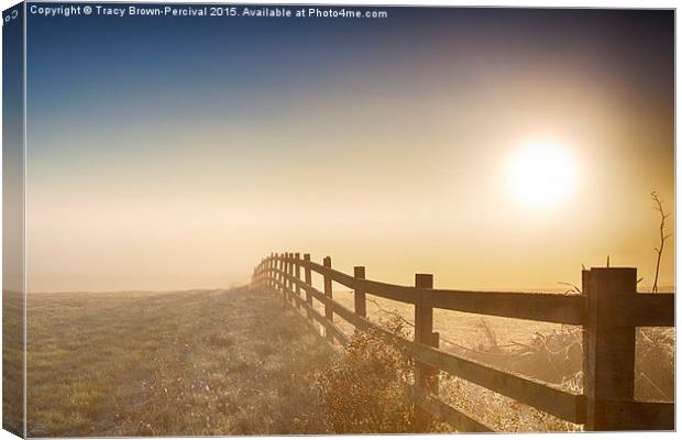  Sunrise at Elmley Canvas Print by Tracy Brown-Percival