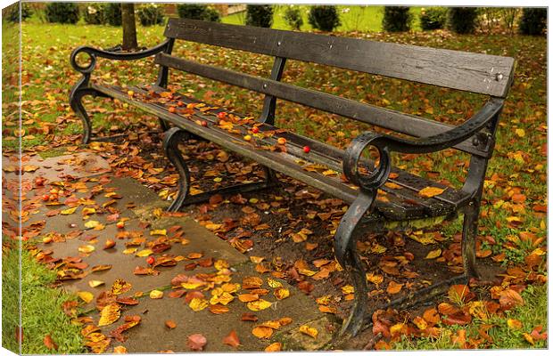  Autumn Bench. Canvas Print by Peter Bunker