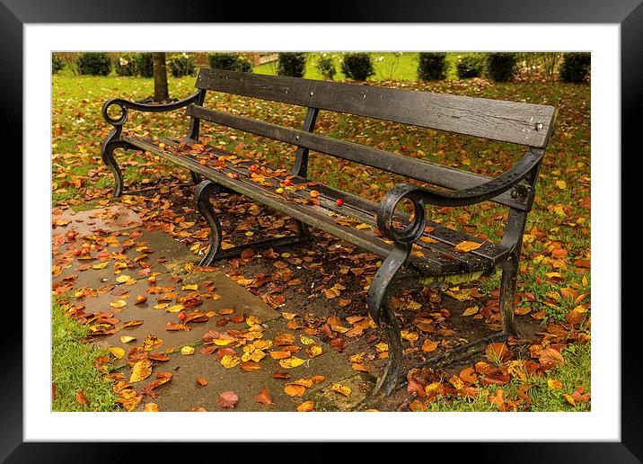  Autumn Bench. Framed Mounted Print by Peter Bunker