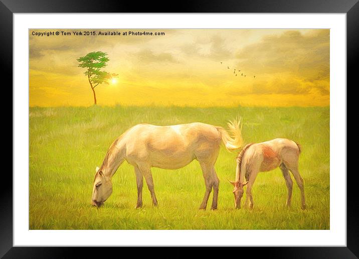Mother And Child Framed Mounted Print by Tom York