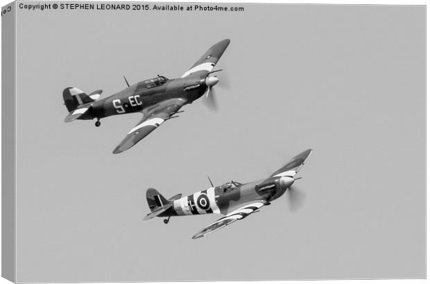  Classic Wings  Canvas Print by STEPHEN LEONARD