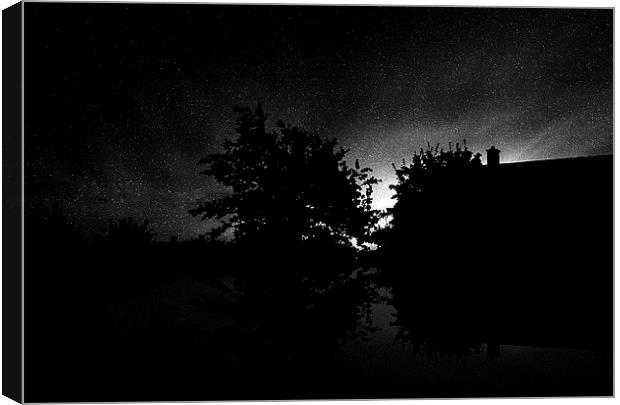  Stars of The Night Canvas Print by Steven Hurrell