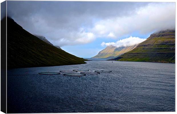 Leaving the Faroe Islands by sea  Canvas Print by Sue Bottomley