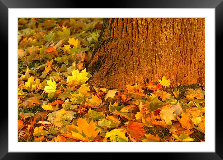 Fall Framed Mounted Print by Jean-François Dupuis