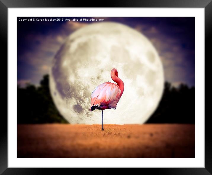  Flamingo Moon Framed Mounted Print by Karen Mackey