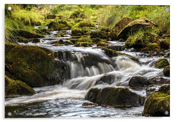  Goyt valley river splashing over rocks  Acrylic by Chris Warham
