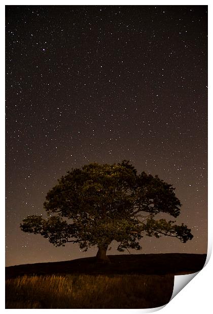  Starry Starry Night Print by Sean Wareing