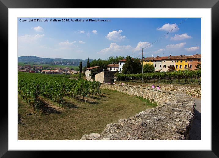  Landscape and vineyards in Italy Framed Mounted Print by Fabrizio Malisan