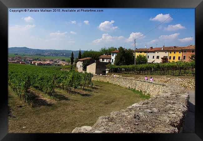  Landscape and vineyards in Italy Framed Print by Fabrizio Malisan