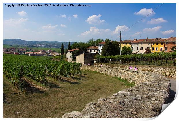  Landscape and vineyards in Italy Print by Fabrizio Malisan