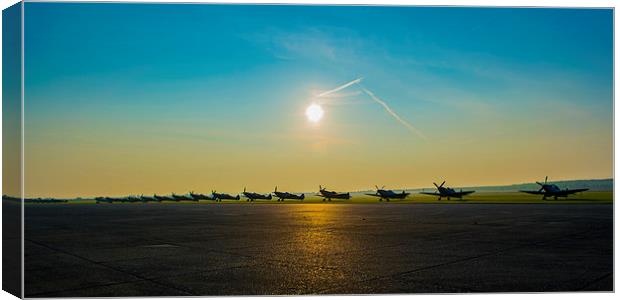  last of the few Canvas Print by Stephen Ward