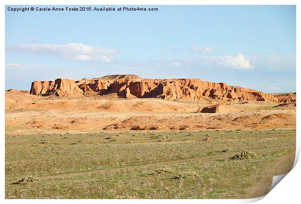  Southern Gobi Mongolia Print by Carole-Anne Fooks