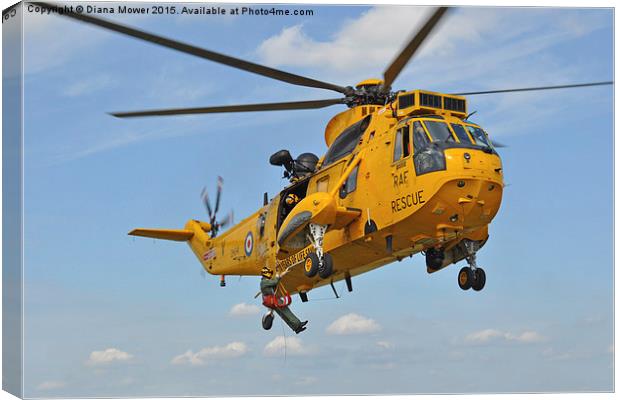 R A F Sea King Search and Rescue Canvas Print by Diana Mower