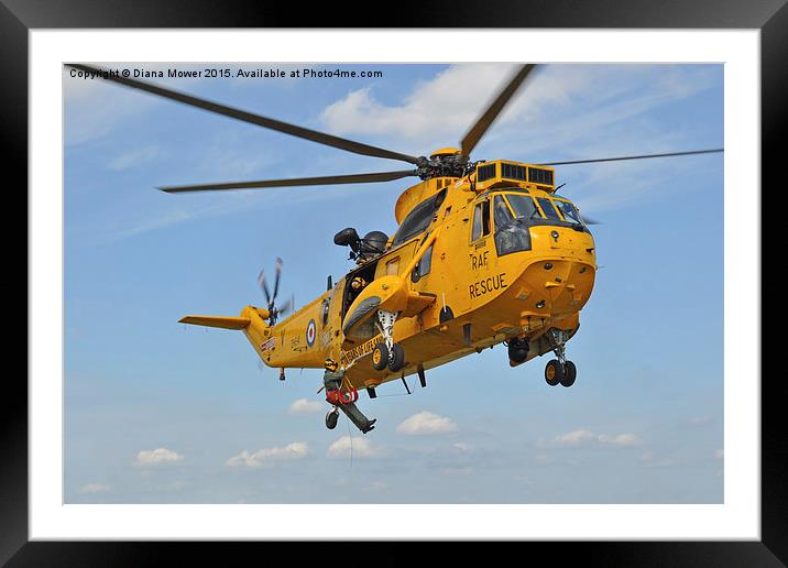 R A F Sea King Search and Rescue Framed Mounted Print by Diana Mower