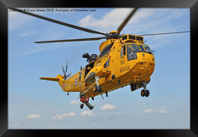 R A F Sea King Search and Rescue Framed Print by Diana Mower