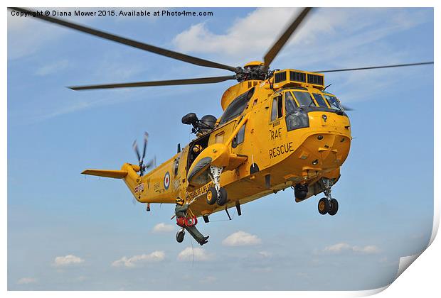 R A F Sea King Search and Rescue Print by Diana Mower