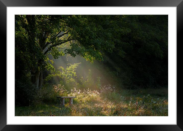  Here Comes the Sun Framed Mounted Print by Colin Evans