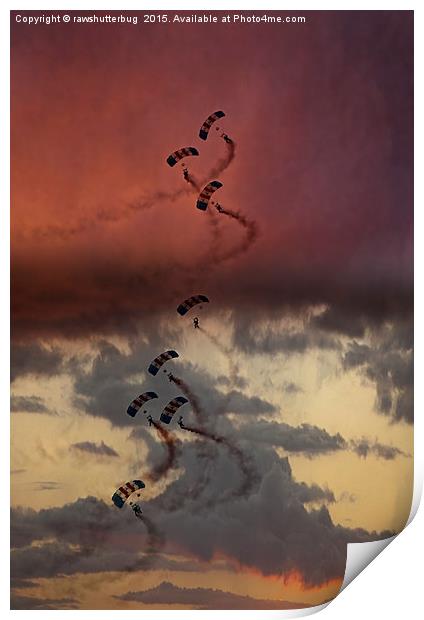 Sunset Falcons Print by rawshutterbug 