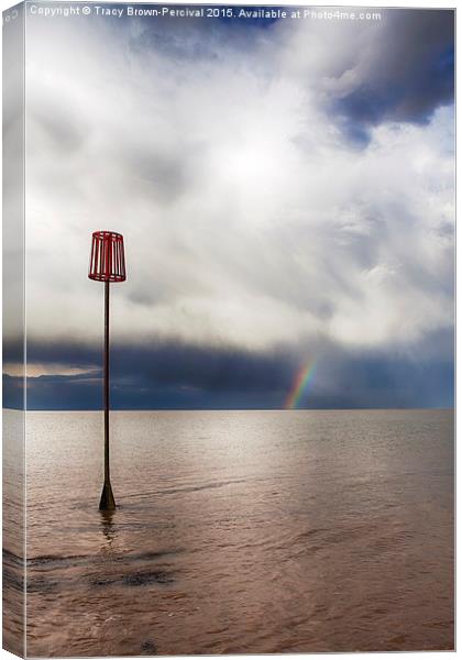  On the Horizon Canvas Print by Tracy Brown-Percival