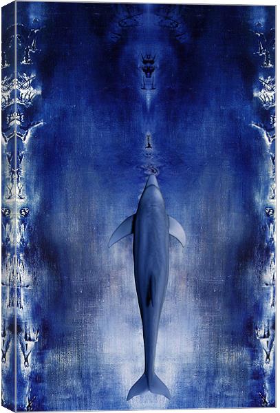 Dolphin Canvas Print by Jean-François Dupuis