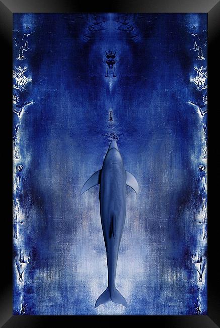 Dolphin Framed Print by Jean-François Dupuis
