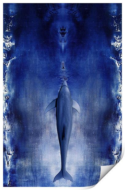 Dolphin Print by Jean-François Dupuis