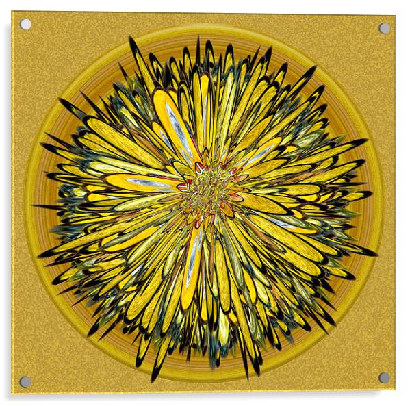Billy Jean - Floral Disk Acrylic by Mark Sellers