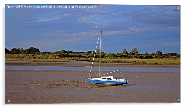  The Blue & White Boat Acrylic by Marie Castagnoli