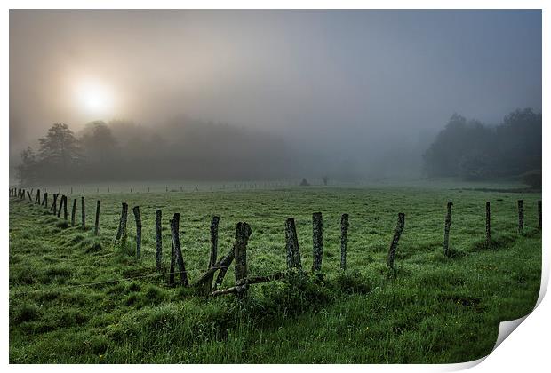  misty sunrise meadow Print by Eric Fouwels