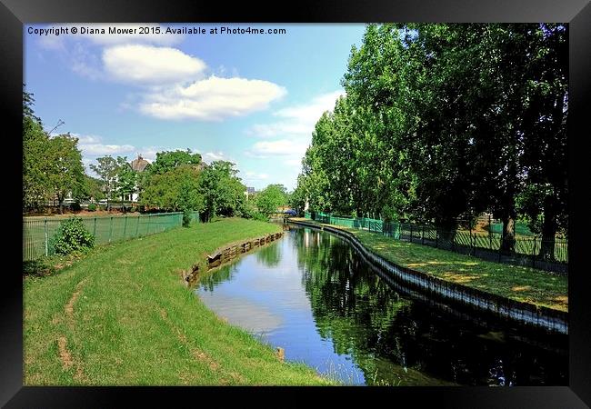  The New River London Framed Print by Diana Mower