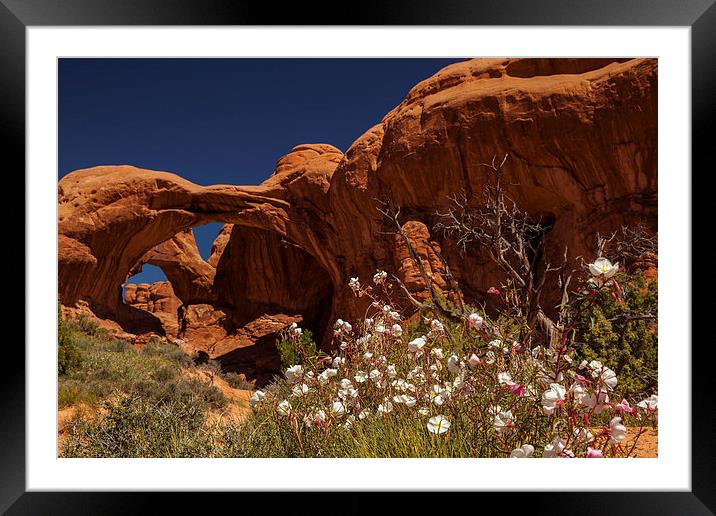 Double Arch Framed Mounted Print by Thomas Schaeffer